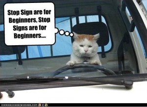 Circular Intersection vs. Stop Signs and Traffic Lights Circular Intersection vs. Stop Signs and Traffic Lights
