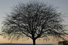 Controlling IT Costs; Enterprise Architecture ...